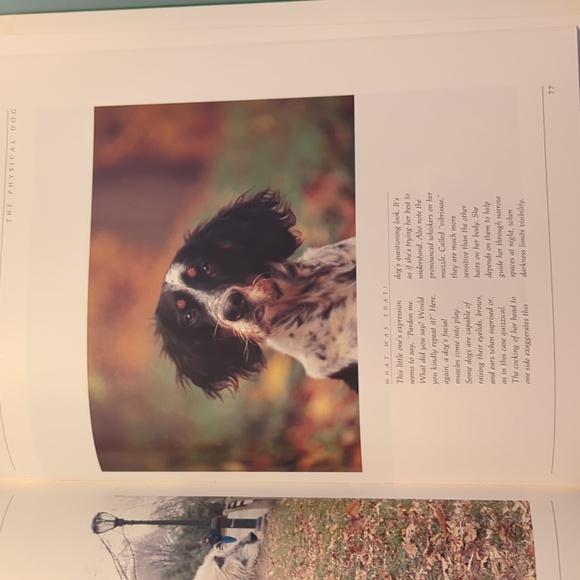 Dog's Life by Warren Eckstein - Hardcover Book for Dog Lovers, Coffee Table Book - Picture 7 of 7